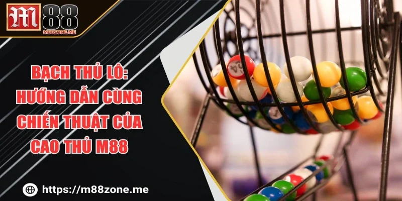 Bạch Thủ Lô: Hướng Dẫn Cùng Chiến Thuật Của Cao Thủ M88