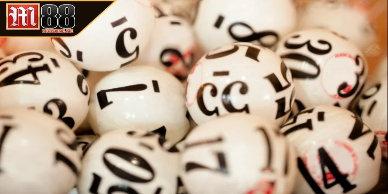 Sơ bộ về nuôi lô 7 ngày